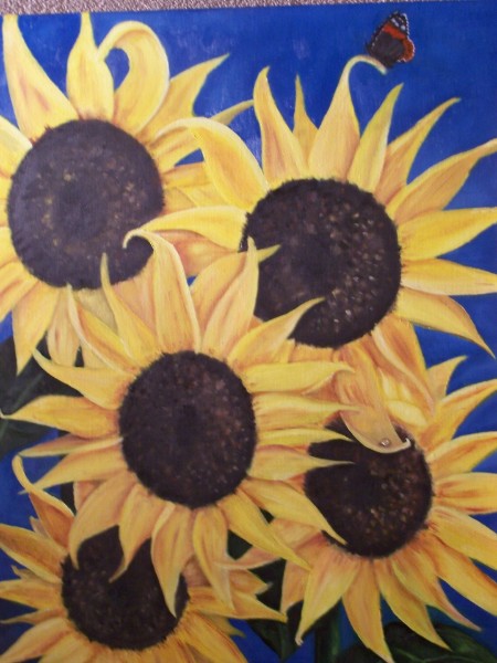 Zonnenbloemen Tante Ria "Verkocht" Zonnenbloemen Tante Ria "Verkocht"