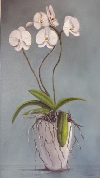 Orchideeen Orchideeen